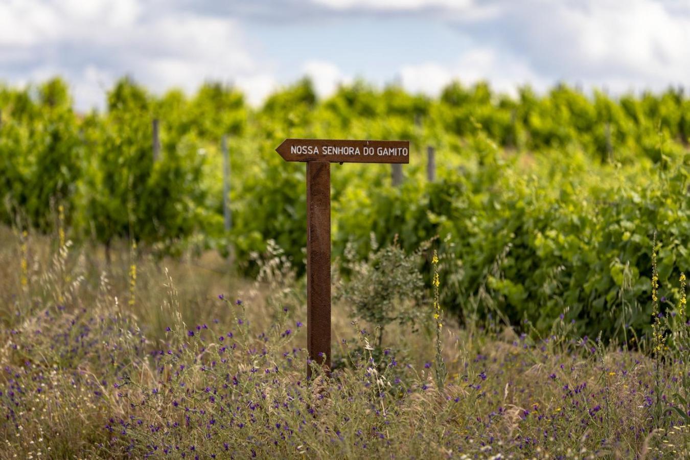Herdade Do Gamito クラト エクステリア 写真
